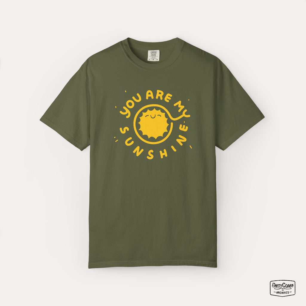 You Are My Sunshine (2013)