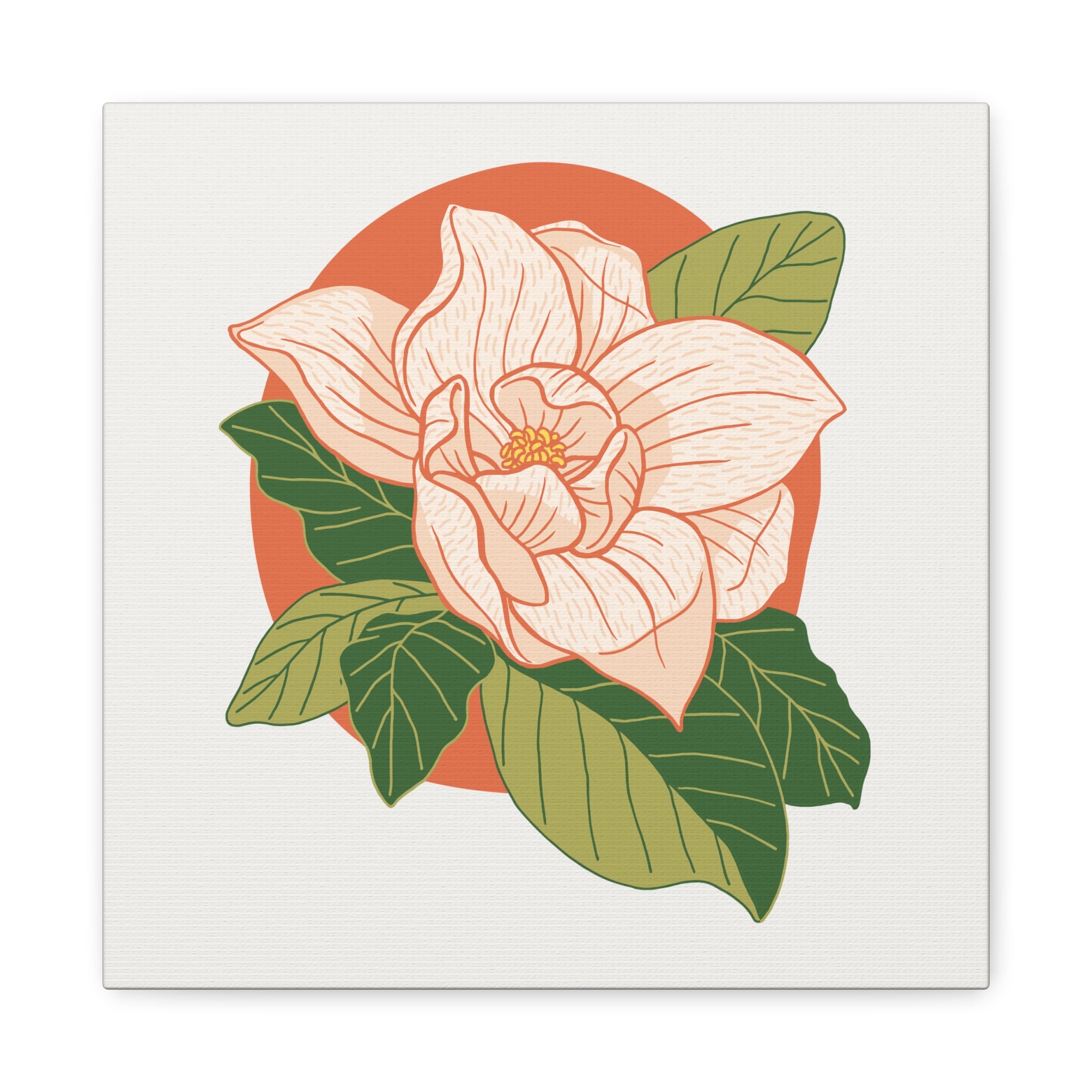 Magnolia