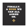 Finally A Bush We Can All Agree On