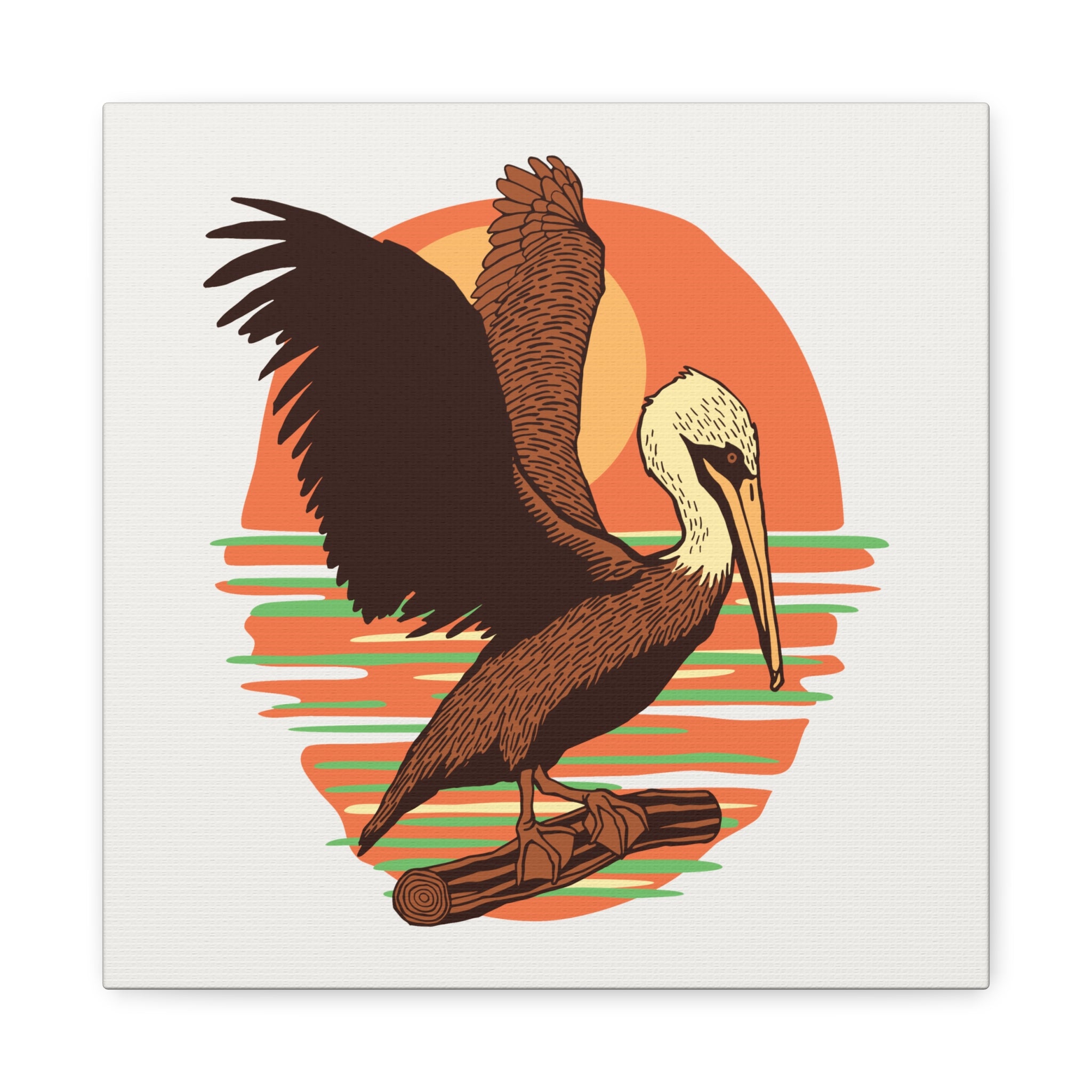 Pelican