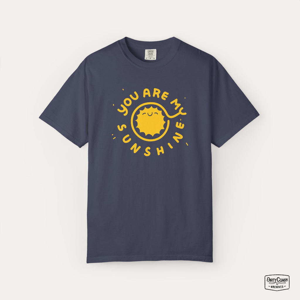 You Are My Sunshine (2013)