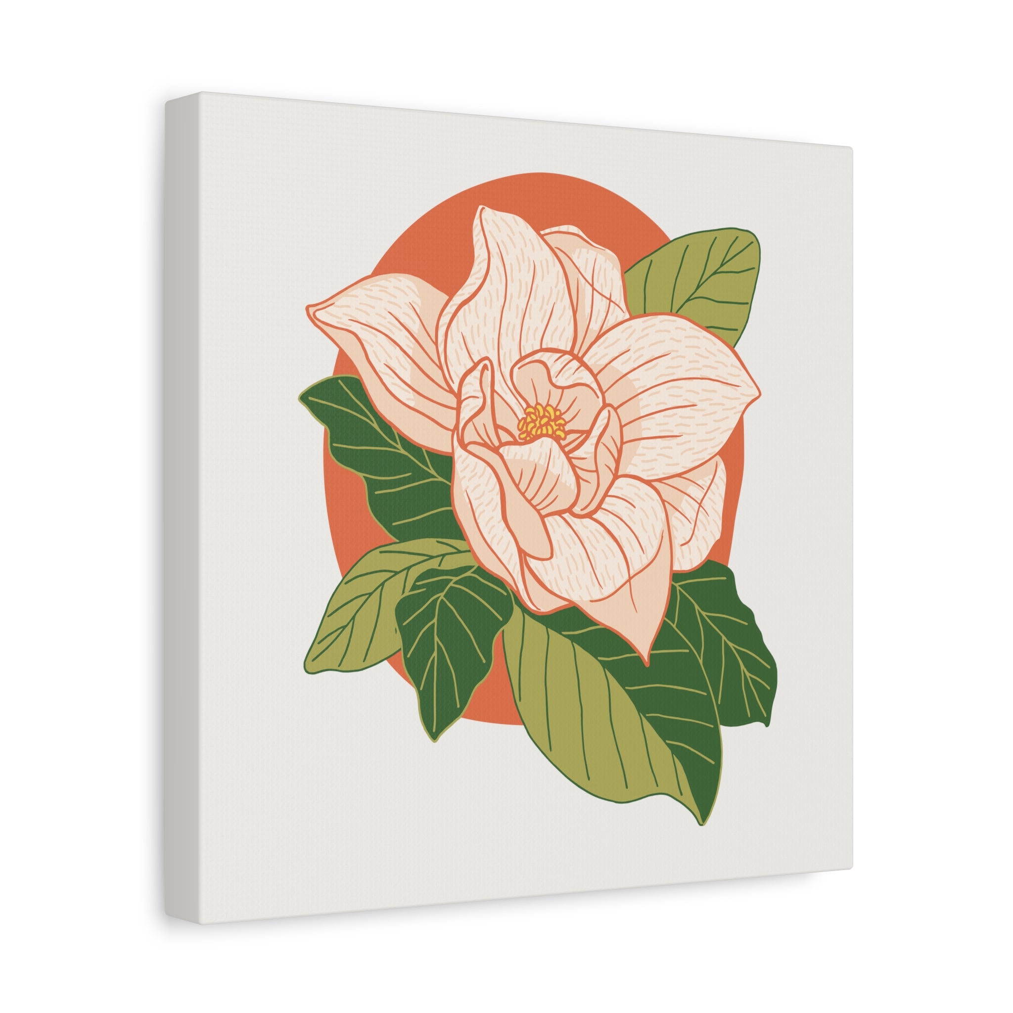 Magnolia